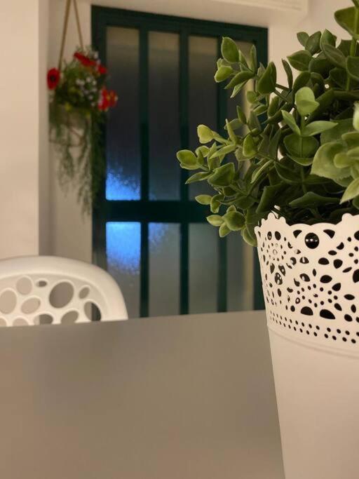 Appartamenti Stella D'Argento Trapani Ngoại thất bức ảnh