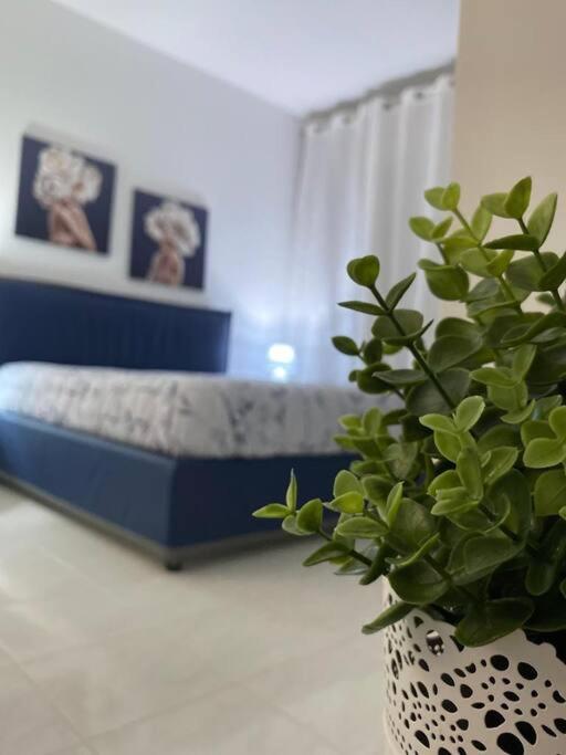 Appartamenti Stella D'Argento Trapani Ngoại thất bức ảnh